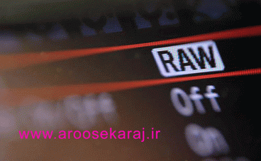 RAW camera menu quality setting02 368x227 - فیلترهای پلاریزه معجزه ای برای عکاسی